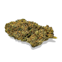 California Blueberry Ecopack Flowers Lucky Hemp