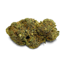 Master Dwarf Cali Pack Blossoms Lucky Hemp