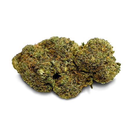 Master Dwarf Cali Pack Blossoms Lucky Hemp