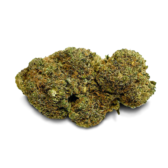 Master Dwarf Cali Pack Blossoms Lucky Hemp