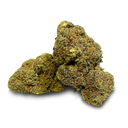 Master Dwarf Cali Pack Blossoms Lucky Hemp