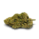 Pineapple Punch Cali Pack Blossoms Lucky Hemp