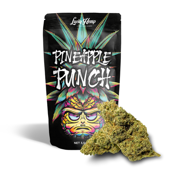 Pineapple Punch Cali Pack Blossoms Lucky Hemp