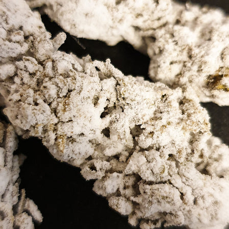 Snow Haze® 41% CBD flowers Lucky Hemp