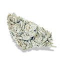 Snow Haze® 41% CBD flowers Lucky Hemp