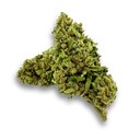 Amnesia Haze Ecopack Flowers Lucky Hemp