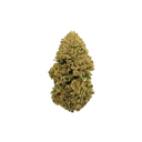 Cali Breeze Eco Pack