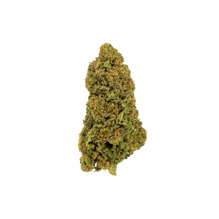 Fruit Cake CBD Ecopack