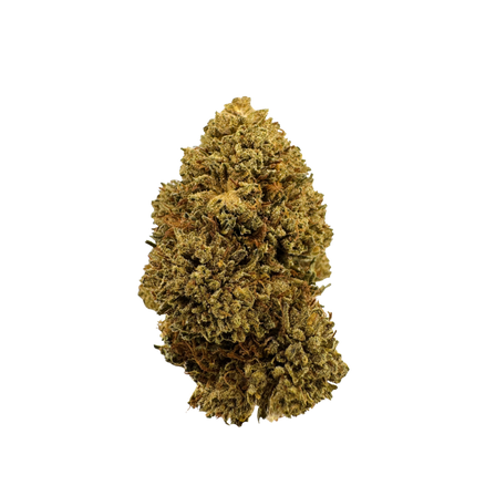 Northern Lights Ecopack