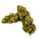 Orange Gelato Eco Pack