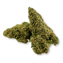 Granddaddy Purple Eco Pack