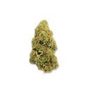 Bullet Kush Eco Pack