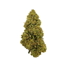 Blueberry Haze ekobalení