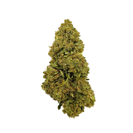 Blueberry Haze ekobalení