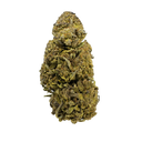 Earthquake CBD