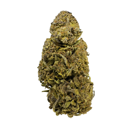 Earthquake CBD