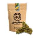 Lemon Pop Ecopack