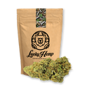 Bullet Kush Eco Pack