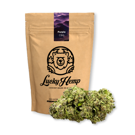 Purple CBG Ecopack
