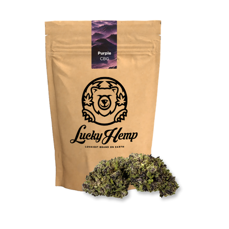 Purple CBG Ecopack