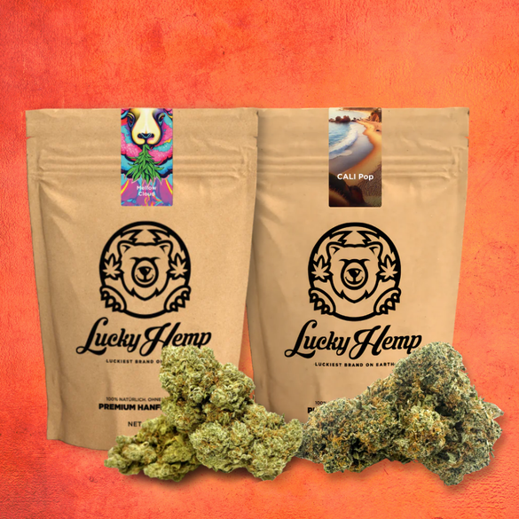 Premium Power Bundle