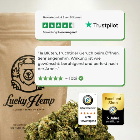 Bullet Kush Eco Pack