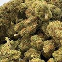 Orange Gelato Eco Pack