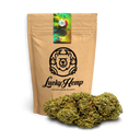 Fruit Punch Eco Pack Flowers Lucky Hemp   